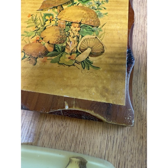 Vtg Acrylic Resin Lucite Trivet Set (2) + Spoon Rest + Wooden Mushroom Wall Art - Picture 7 of 16